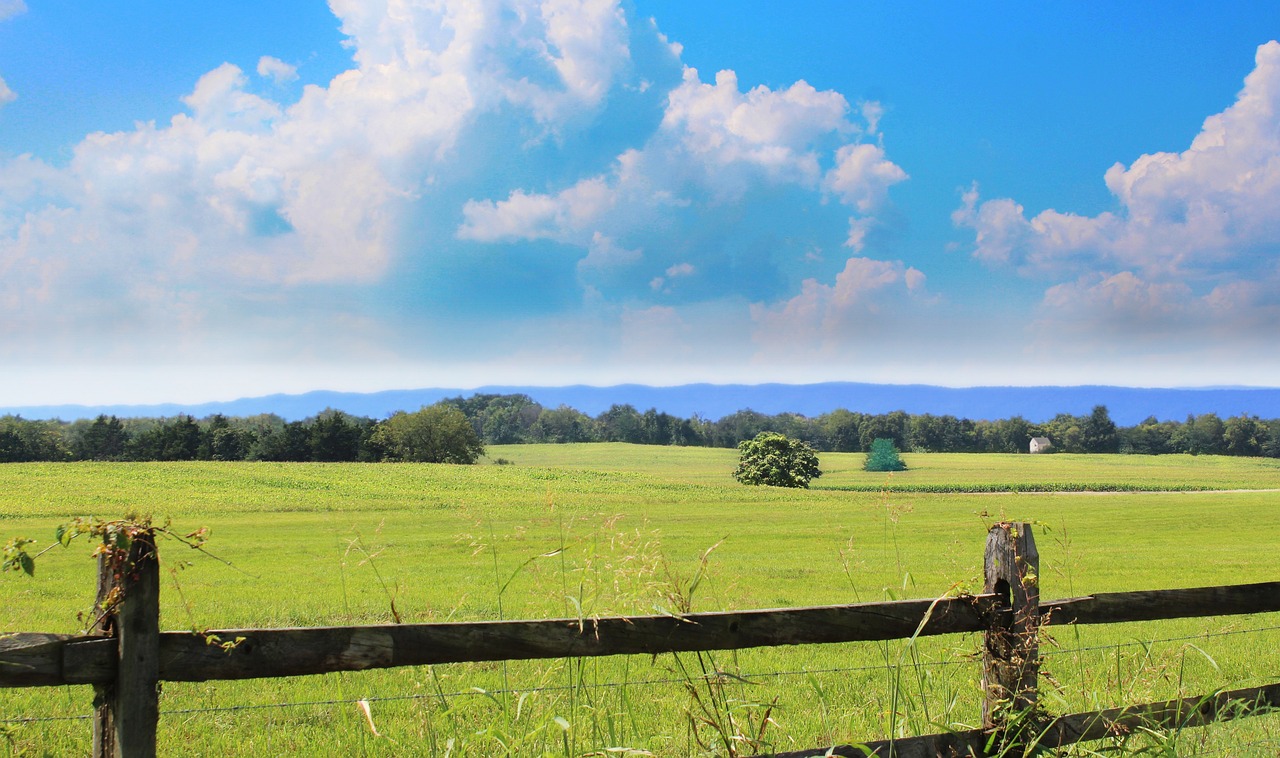 The Hidden Charms of the United States’ Shenandoah National Park